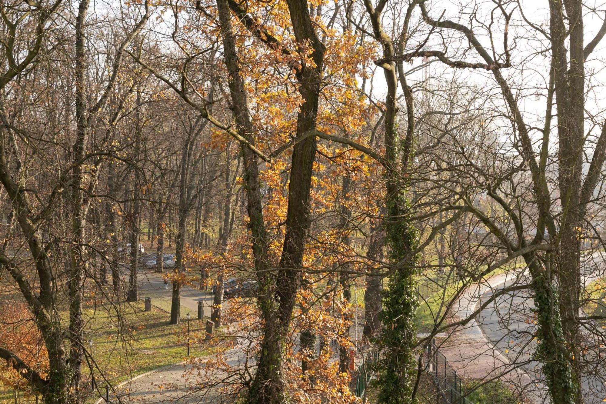 Apartament Szary Krakow Luaran gambar